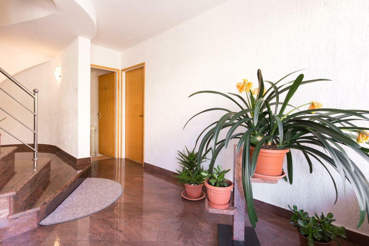 Villa Paradiso Пунат Екстериор снимка